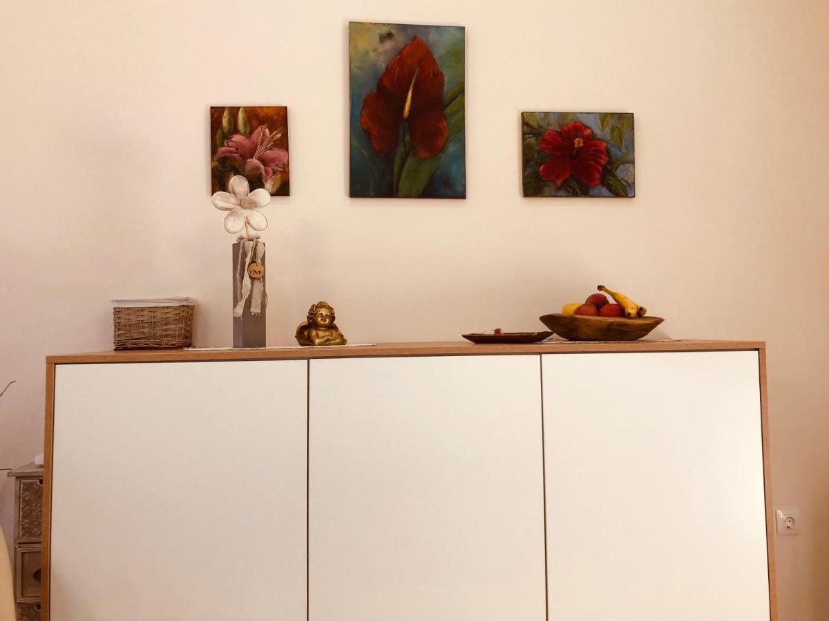 Apartment Karin Rijeka Extérieur photo