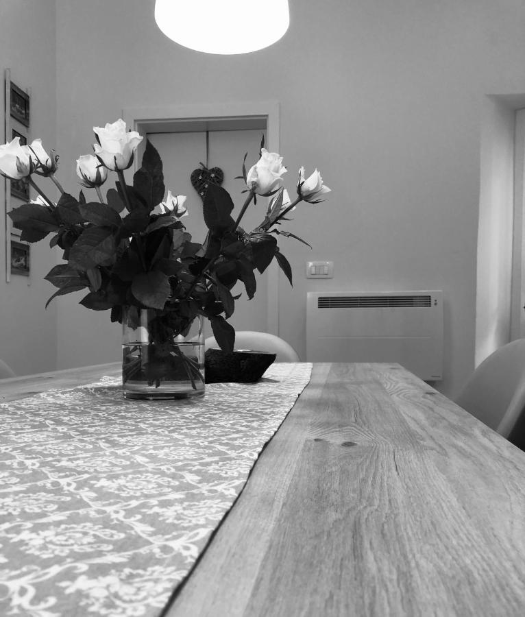 Apartment Karin Rijeka Extérieur photo